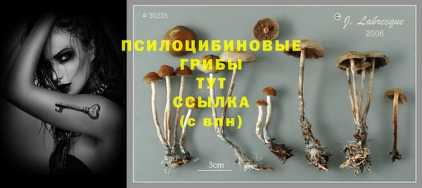 сатива Кулебаки
