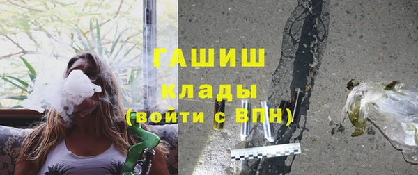 сатива Кулебаки