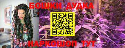 ПСИЛОЦИБИНОВЫЕ ГРИБЫ Кингисепп