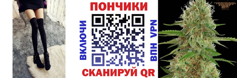 Бошки Шишки VHQ Элиста